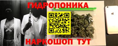 PSILOCYBIN Будённовск