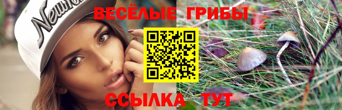 Галлюциногенные грибы ЛСД  Галлюциногенные грибы Psilocybe  Курчалой  Вход с VPN 