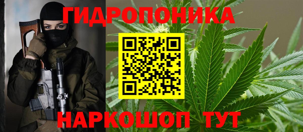 Каннабис MAZAR  Канабис планчик  Марихуана сатива  Вход с VPN  Курчалой  Бошки Шишки SATIVA & INDICA 